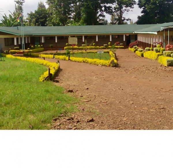 School Farm